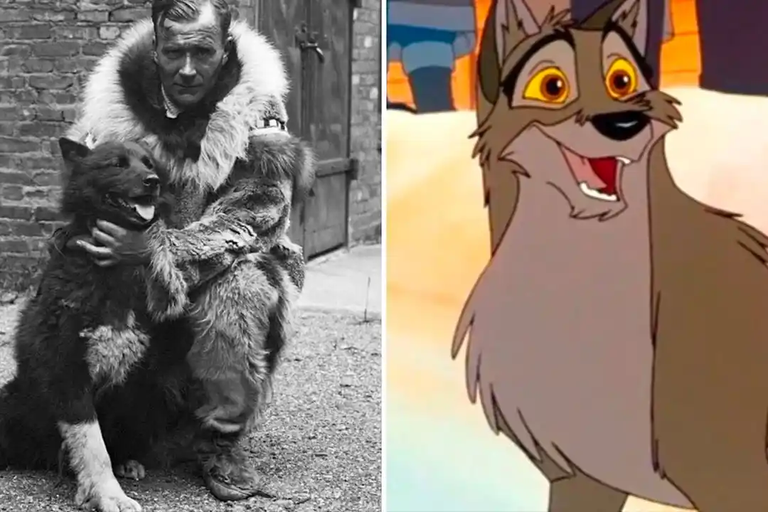 Animation Research Process