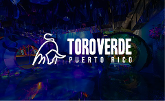 ToroVerde Project