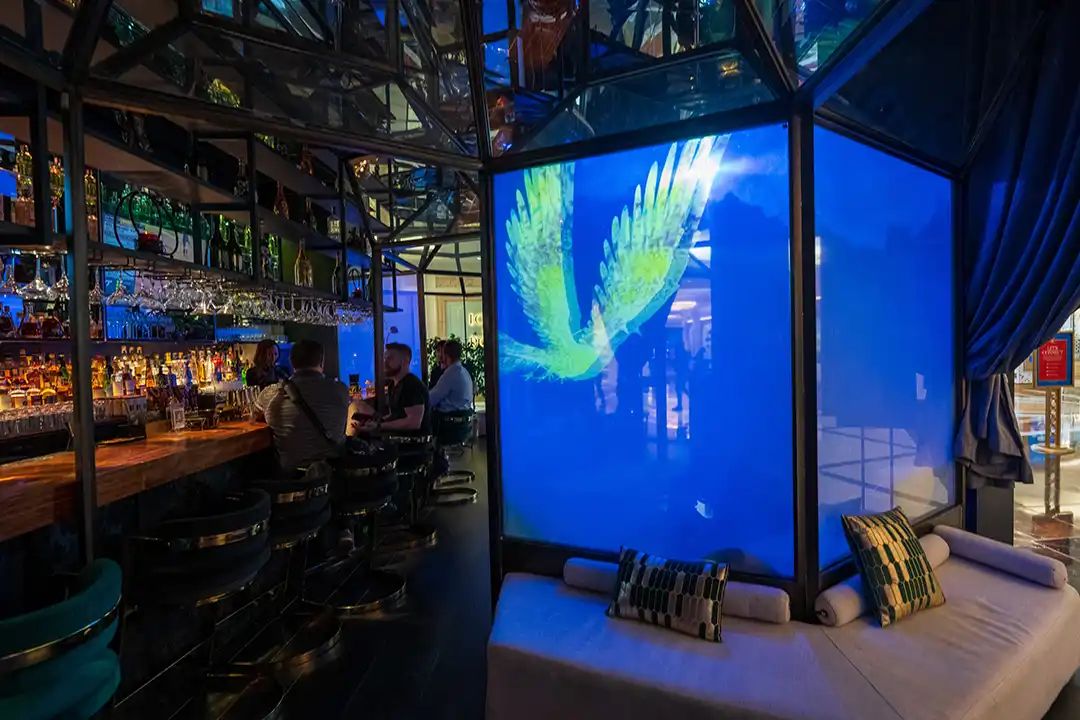 Xpot Immersive Dining Project 8  1