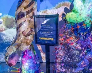 Art Installation Nat Geo 2