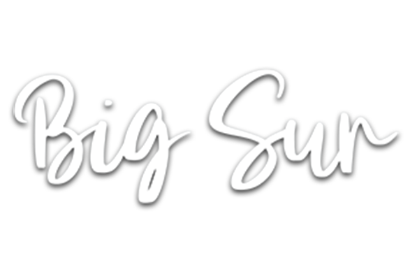 Big Sur Logo White Ds