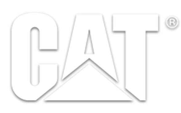 Cat  1