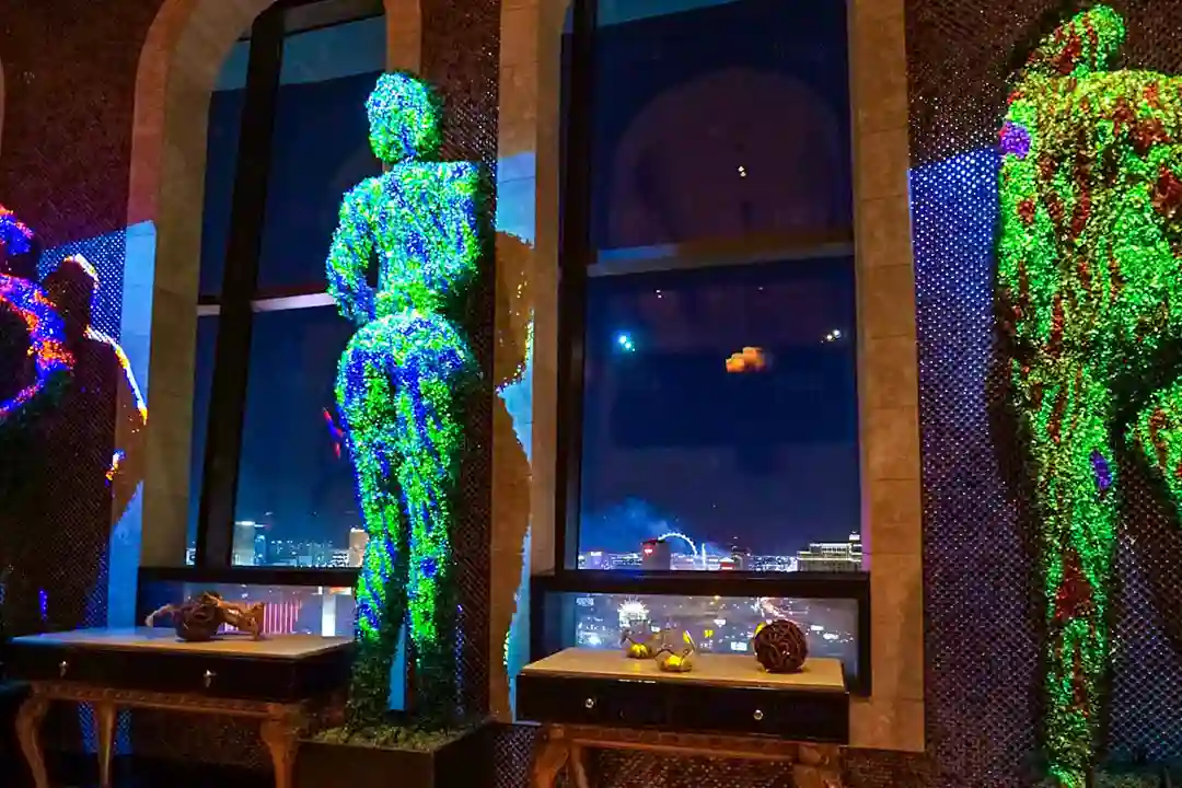 Immersive Dining Experience Urban Seed Gala