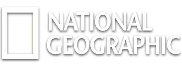 National Geographic Logo E1738440001781  1